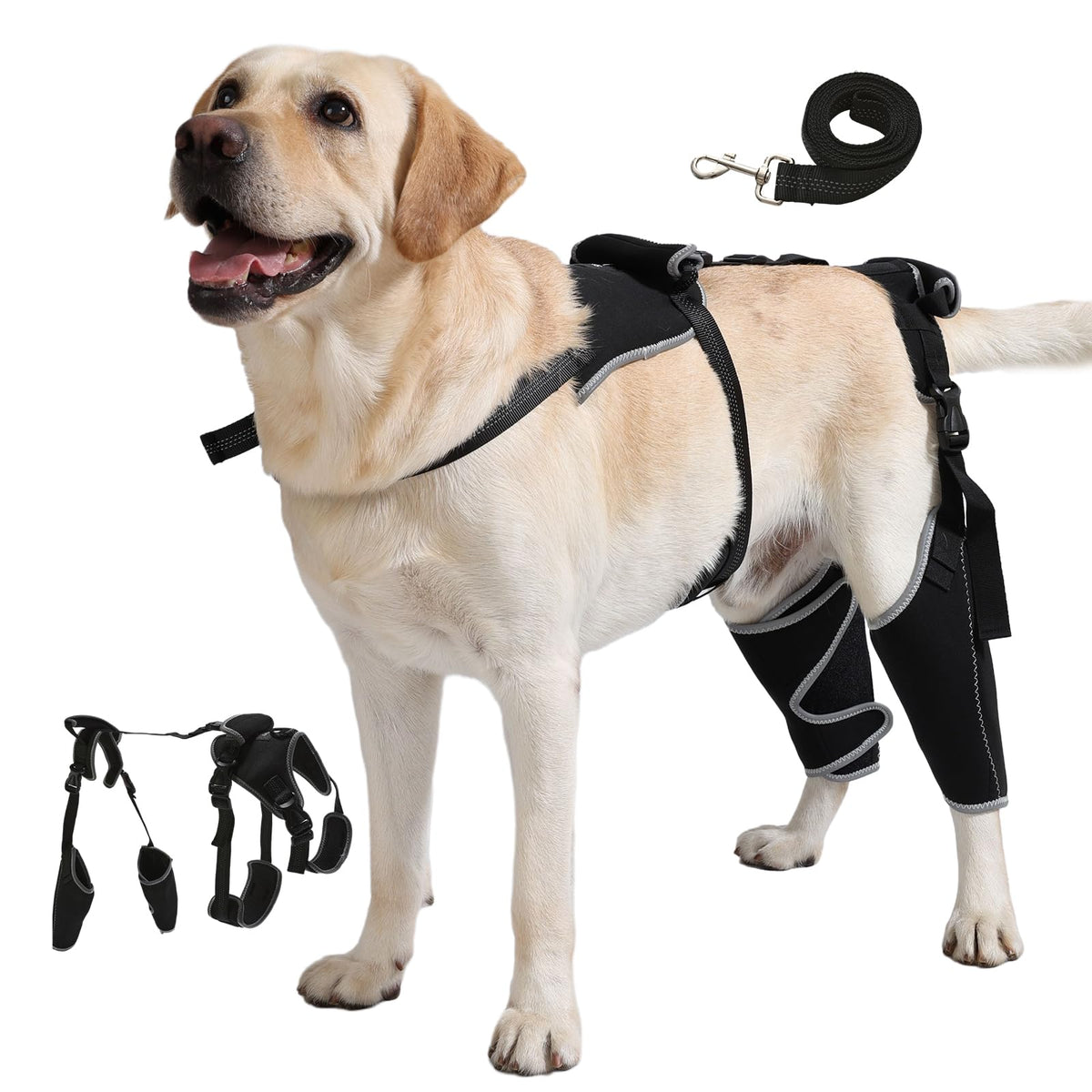 Spajoy rodillera para perro ajustable mejora estabilidad de la rodilla durante la recuperación.