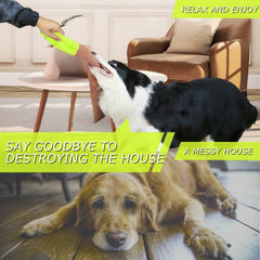 Juguete Spanomic para perros, juego de tirar y lanzar para interacción.