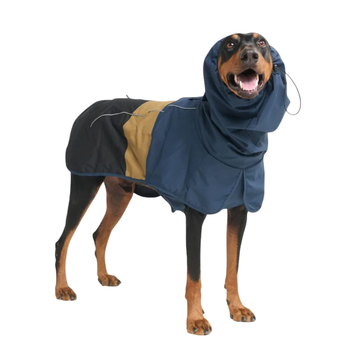 Spark Paws abrigo de lluvia para perro con cobertura total, mantiene al animal seco.