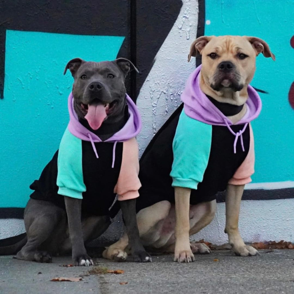 Spark Paws apertura para correa, facilita paseos con arnés