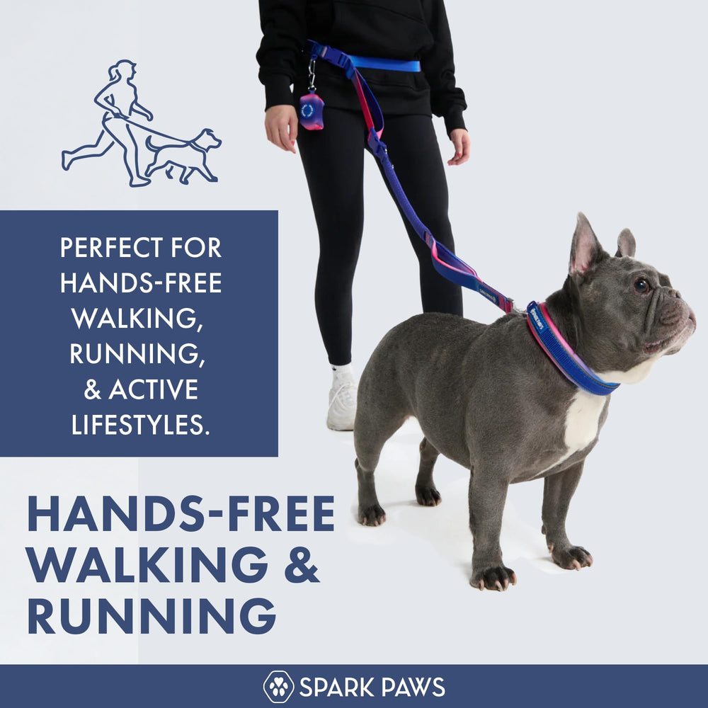 Spark Paws bungee absorbente: reduce tirones para mayor comodidad