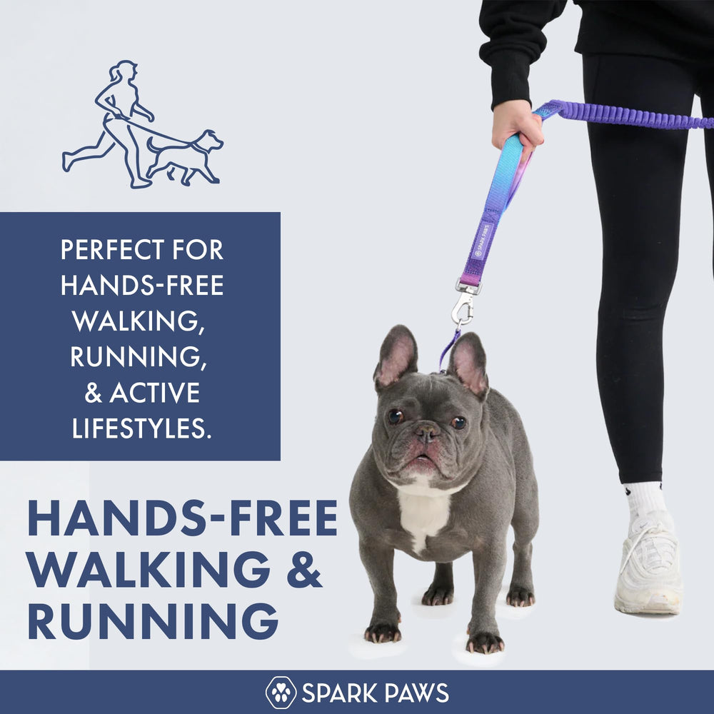 Spark Paws: bungee amortiguador para correr, reduce tirones y fatiga.