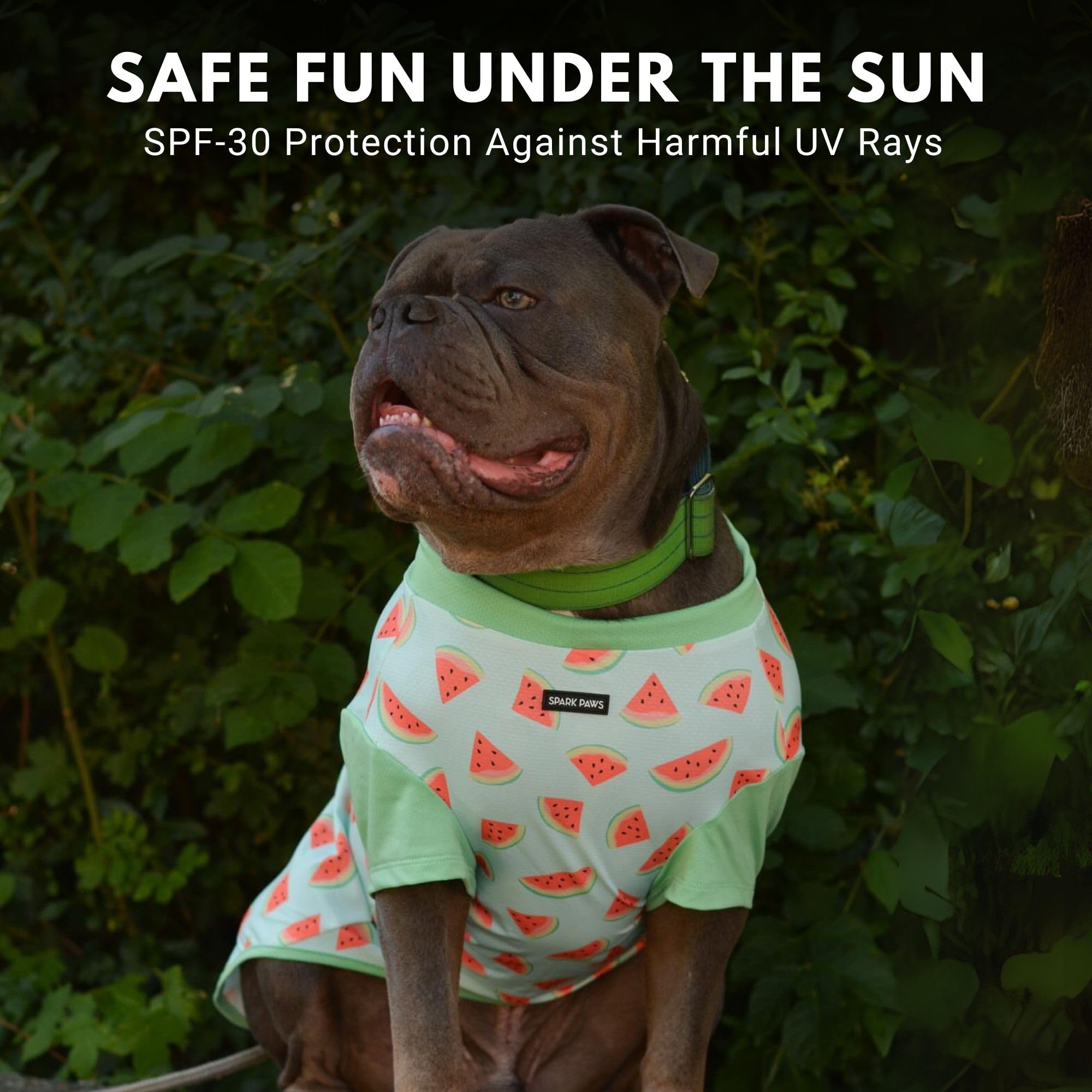 Spark Paws ajuste ergonómico para razas de todos los tamaños con SPF30.