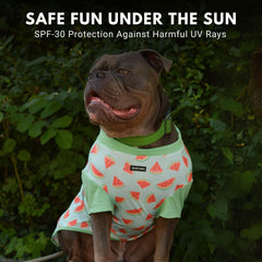 Spark Paws ajuste ergonómico para razas de todos los tamaños con SPF30.
