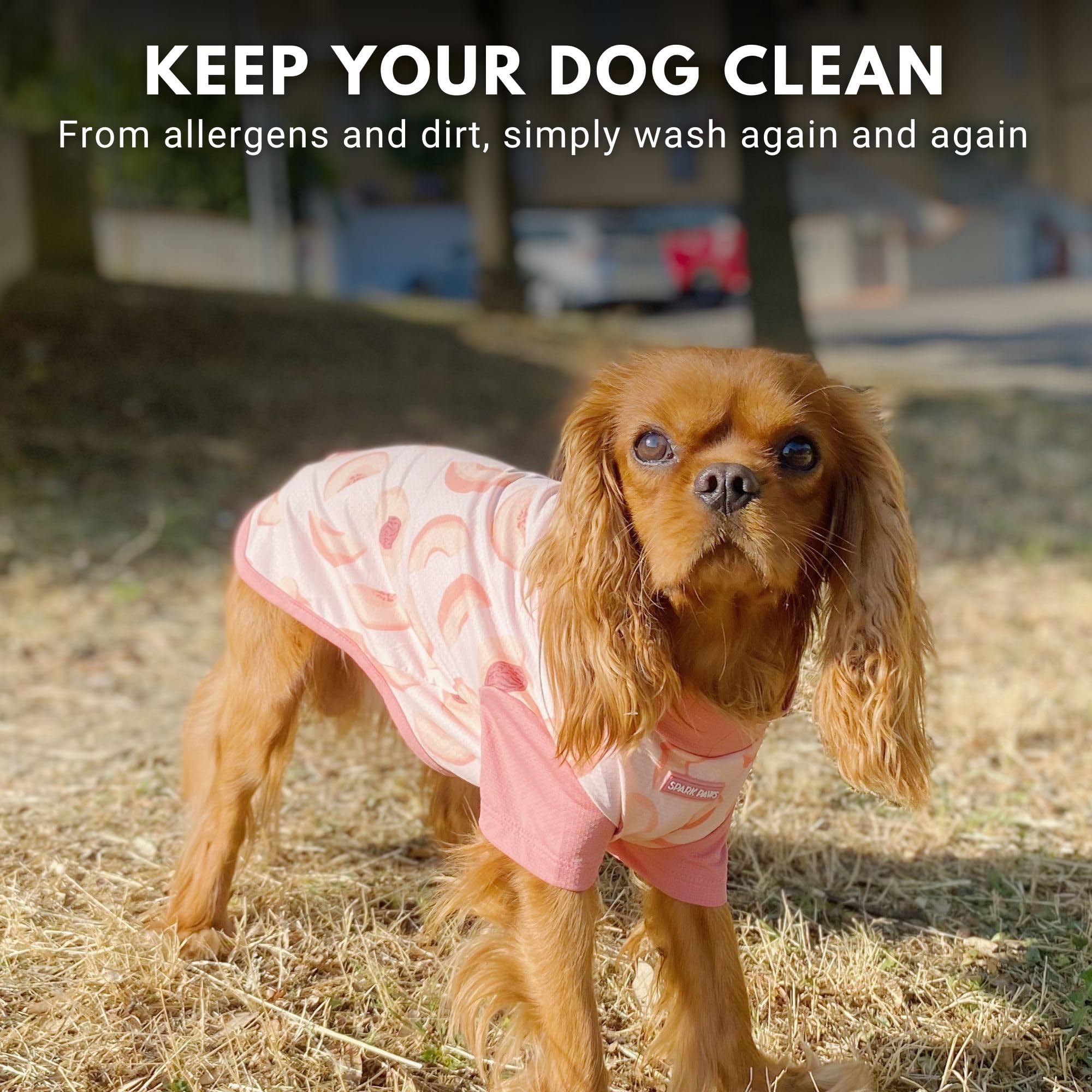 Spark Paws lavado fácil y duradero para uso frecuente al aire libre.