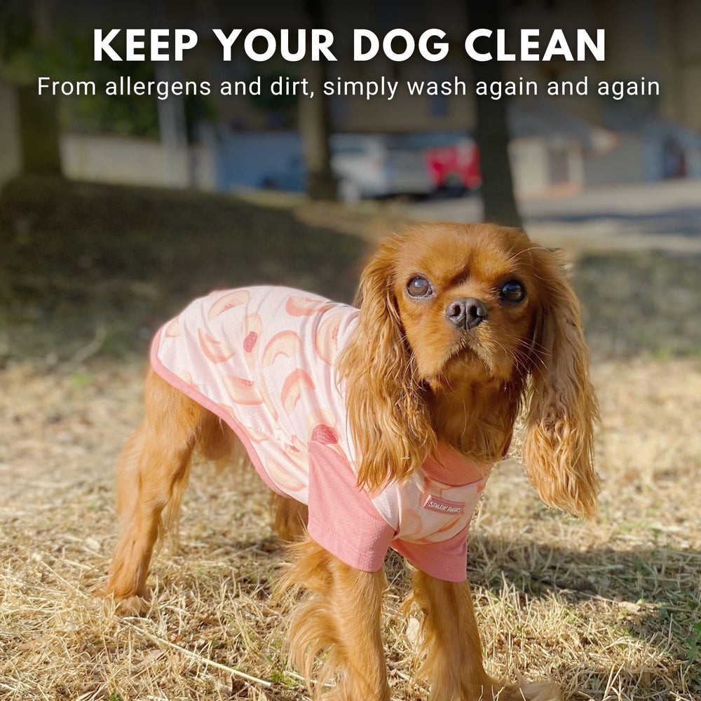 Spark Paws lavado fácil y duradero para uso frecuente al aire libre.