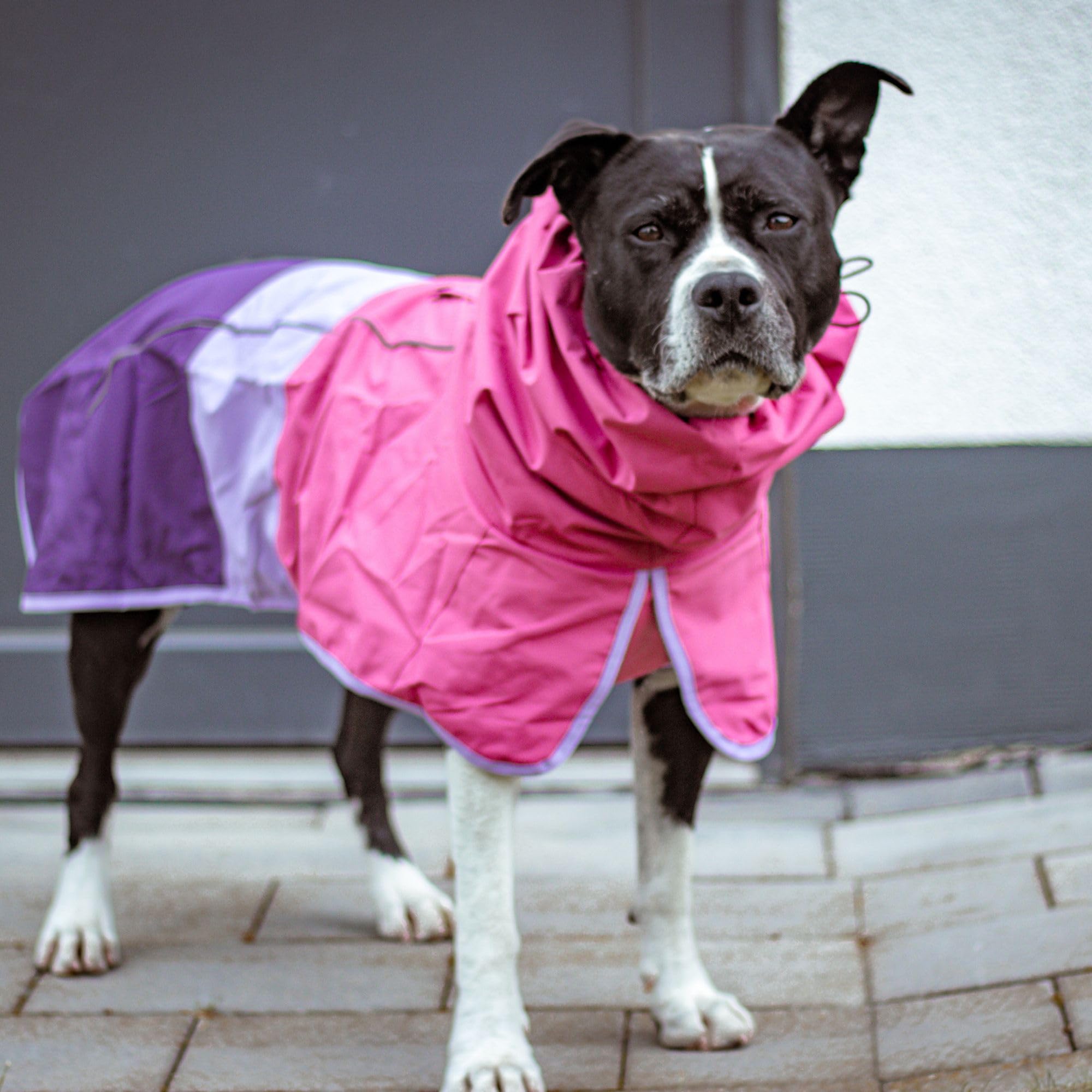Spark Paws capa de lluvia para perro con ajuste en patas traseras para pausas fáciles.