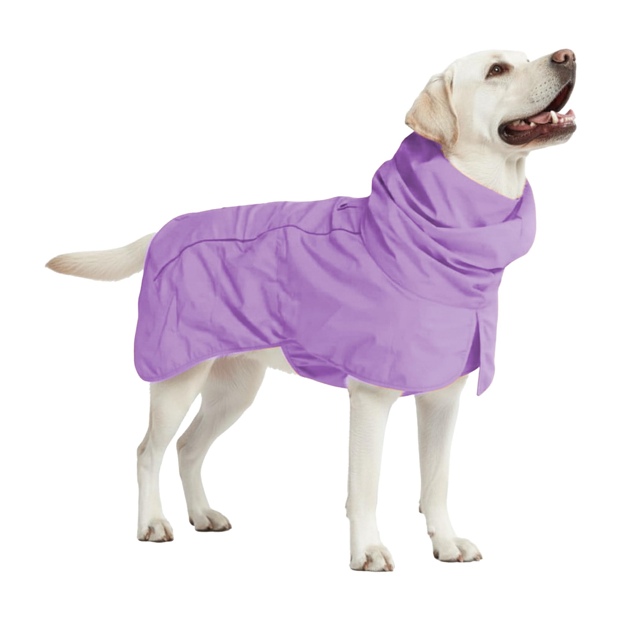 Spark Paws capa de lluvia para perro, vista frontal; protección total contra la lluvia.