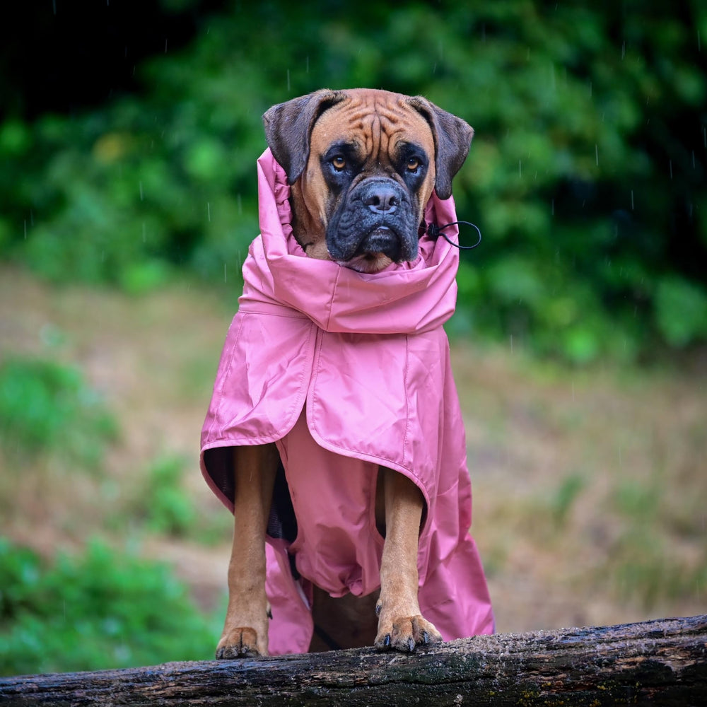 Spark Paws chubasquero rosa marino con detalles reflectivos para seguridad nocturna