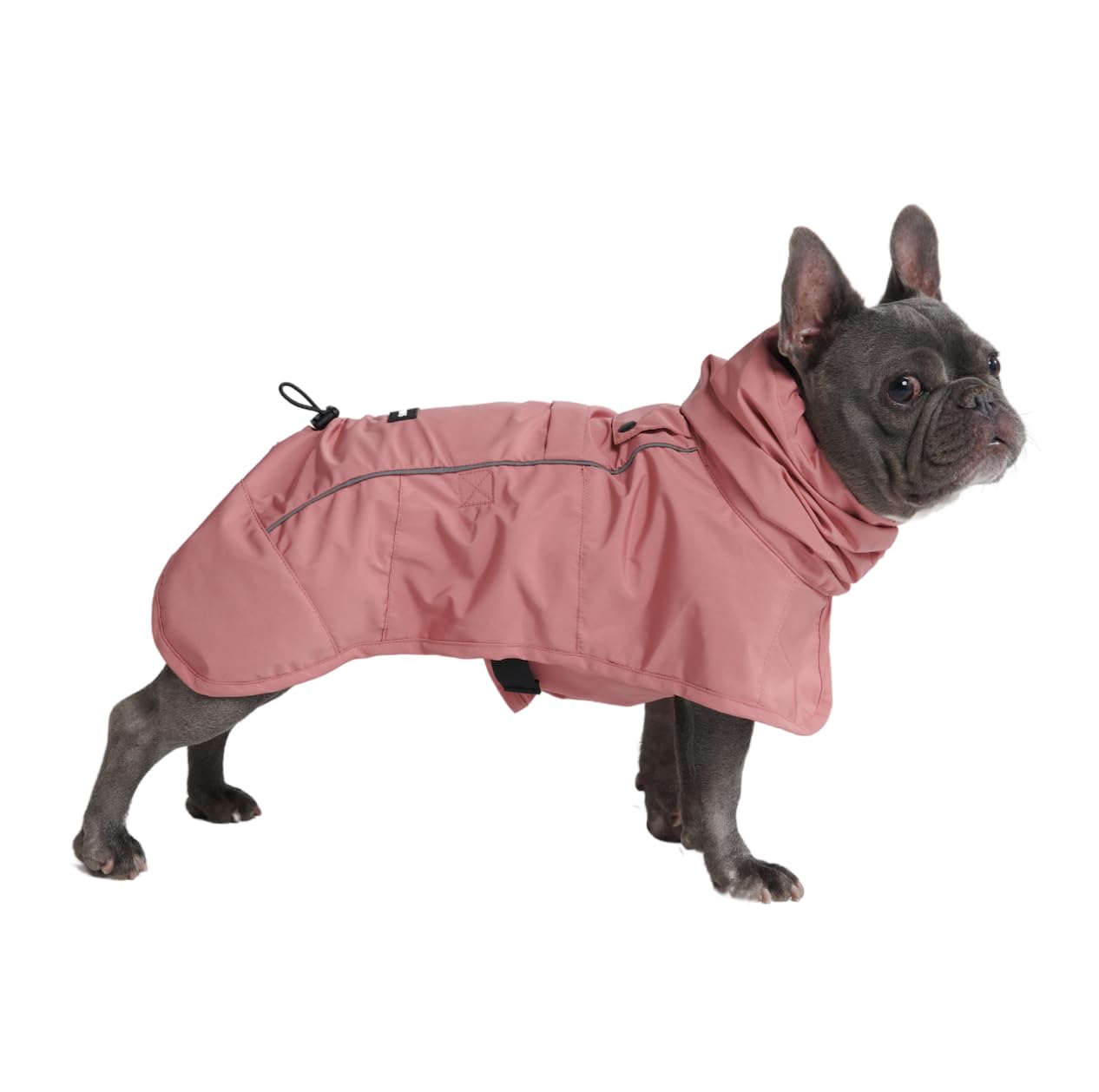 Spark Paws chaqueta impermeable con cobertura total para perro, ideal bajo lluvia