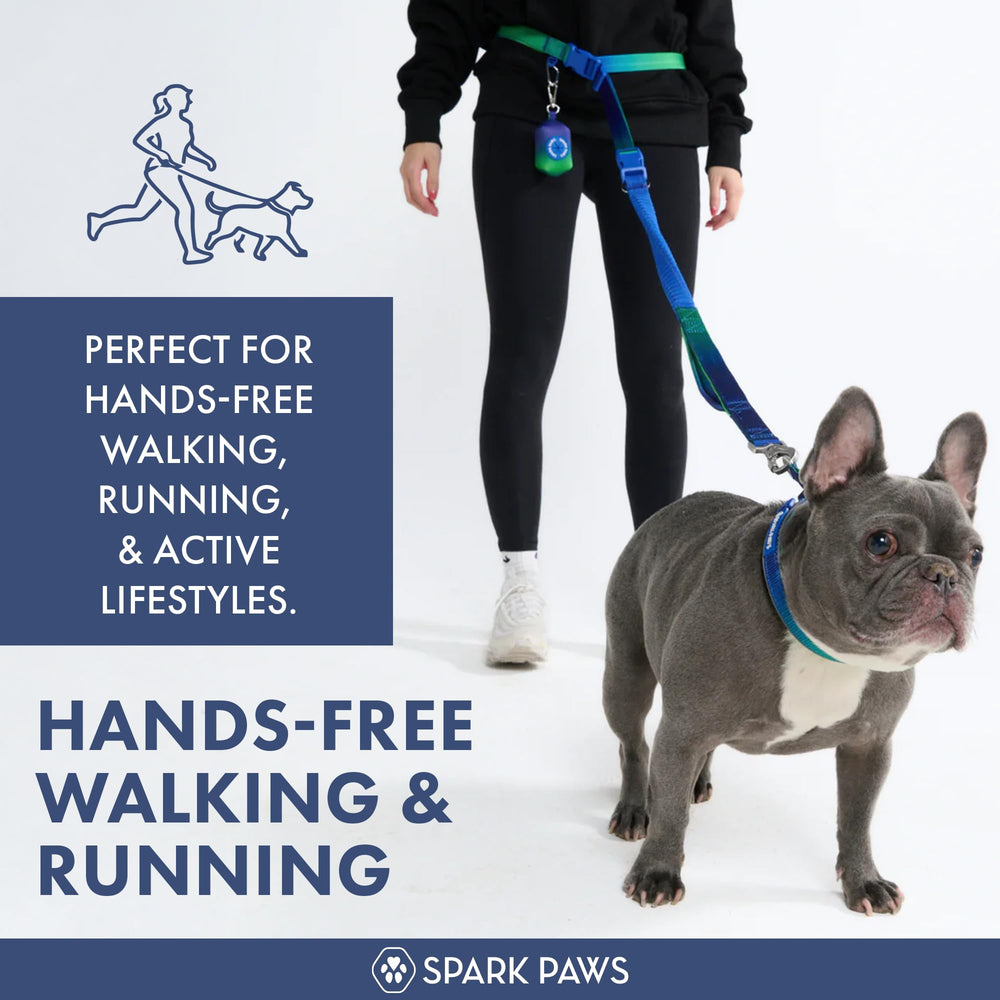 Spark Paws, cordón elástico de absorción: reduce tirones para paseos más suaves.