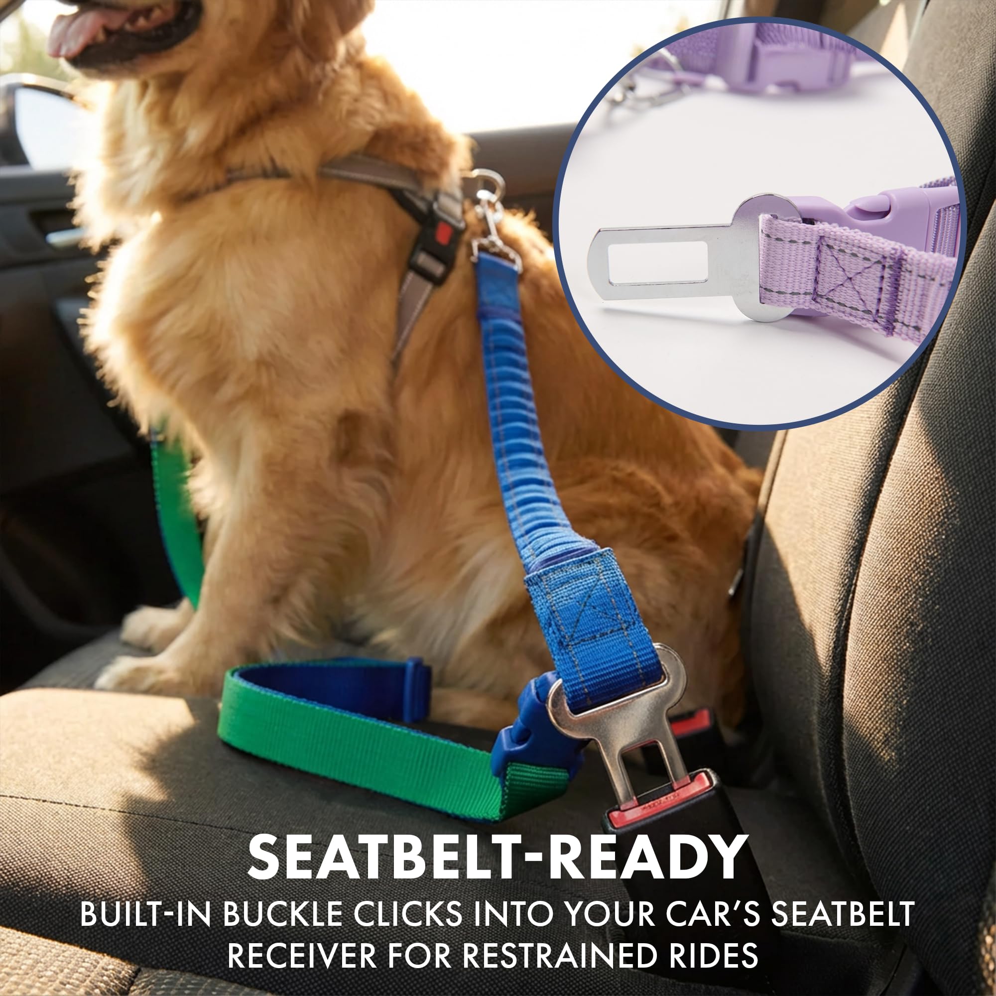 Spark Paws: correa táctica resistente para perros grandes y fuertes.
