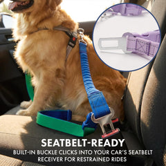 Spark Paws: correa táctica resistente para perros grandes y fuertes.