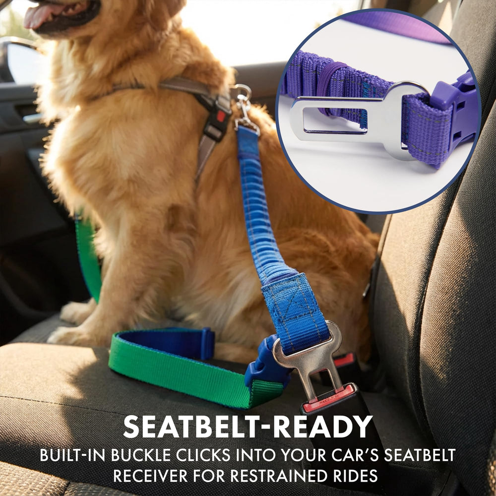 Spark Paws: correa táctica resistente para perros grandes.