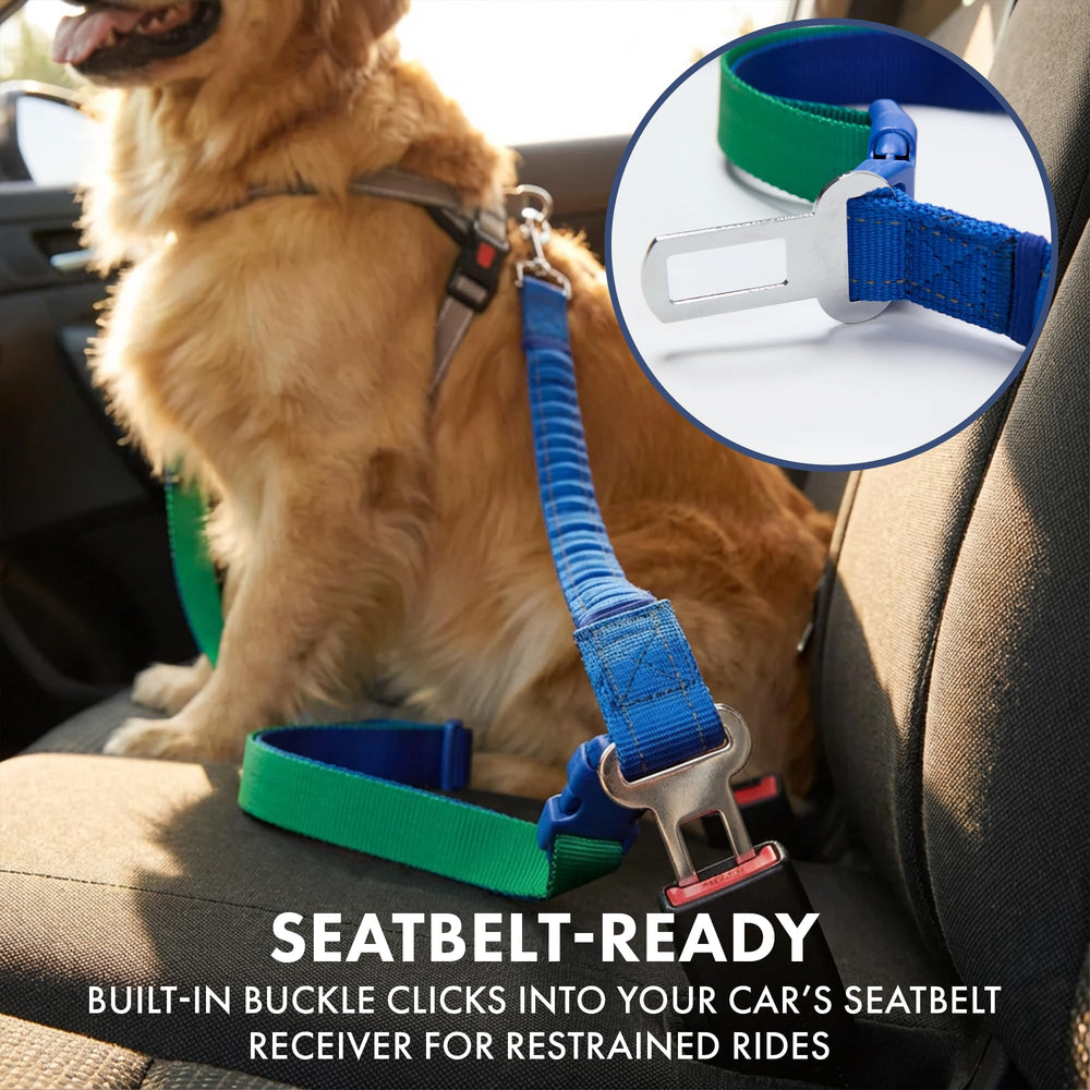Spark Paws, correa táctica resistente para perros grandes y activos.