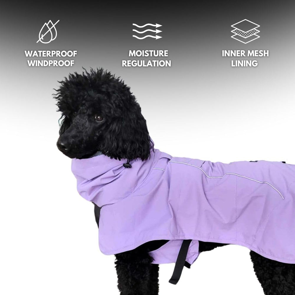 Spark Paws forro de malla transpirable para mayor comodidad.