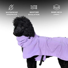 Spark Paws forro de malla transpirable para mayor comodidad.
