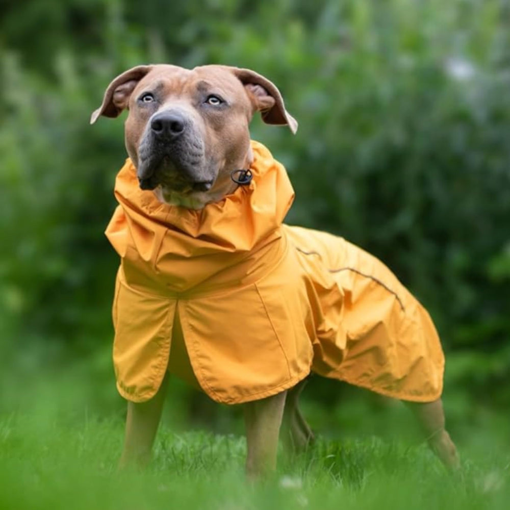 Spark Paws palanca de ajuste en patas traseras para paseos fáciles.
