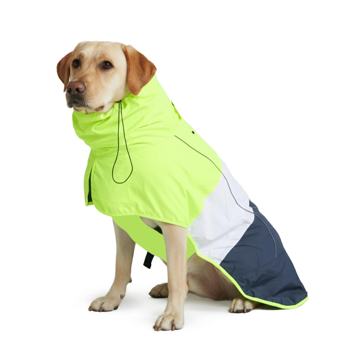 Chubasquero Spark Paws para perro con cobertura total resistente a la lluvia.