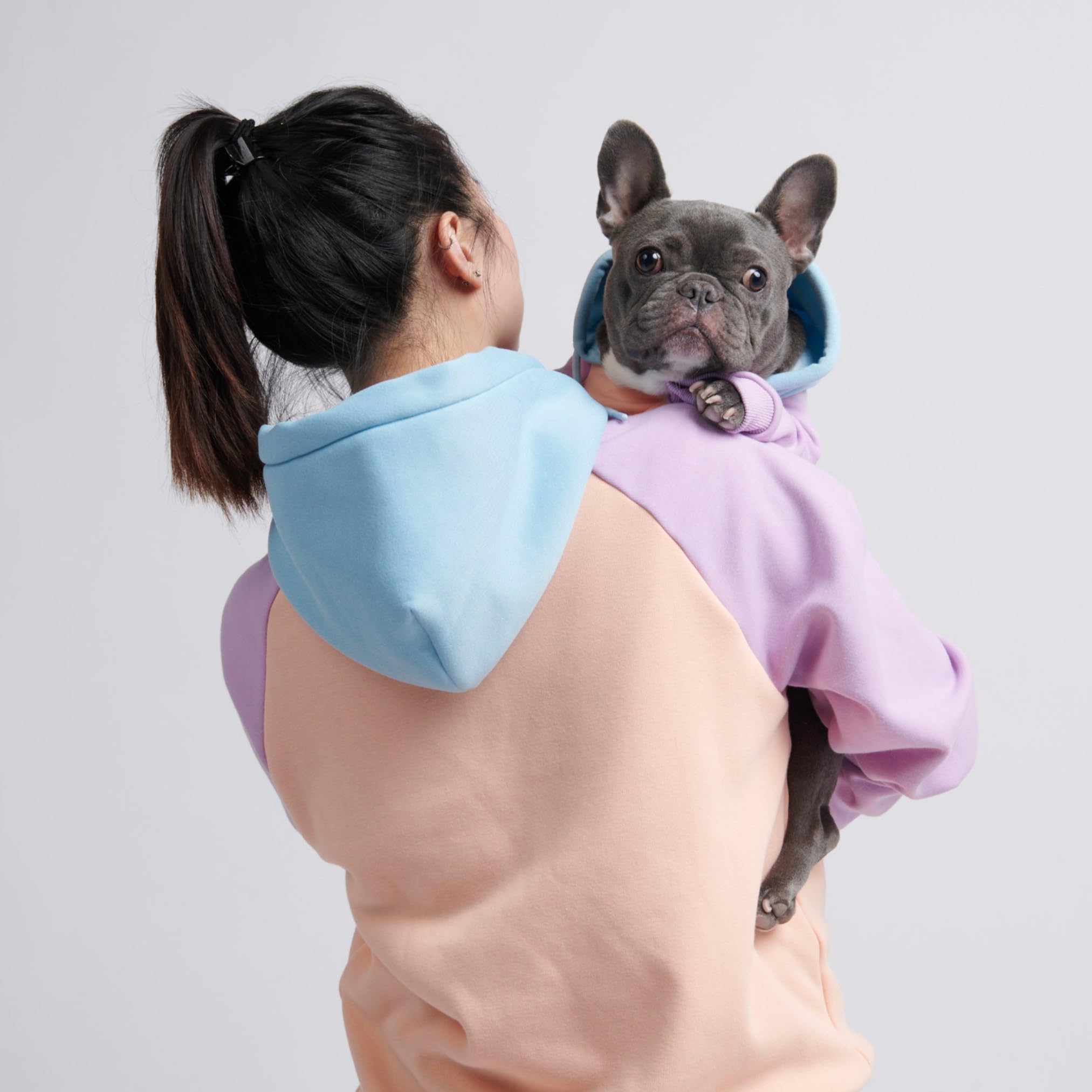 Sudadera para perros Spark Paws, ajuste para pecho ancho, perfecto para bulldogs franceses.