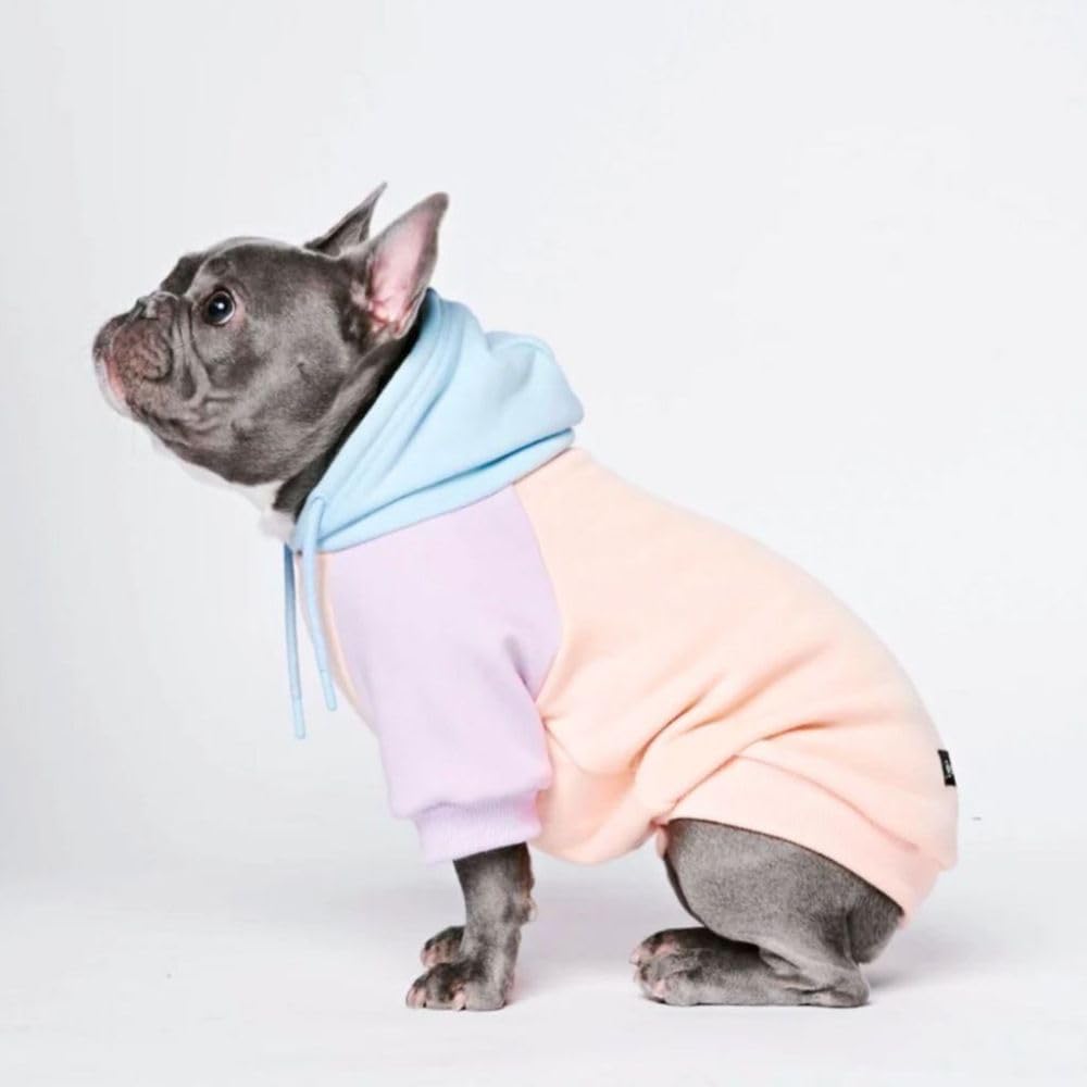 Spark Paws sudadera para perros vista frontal mostrando ajuste cómodo.