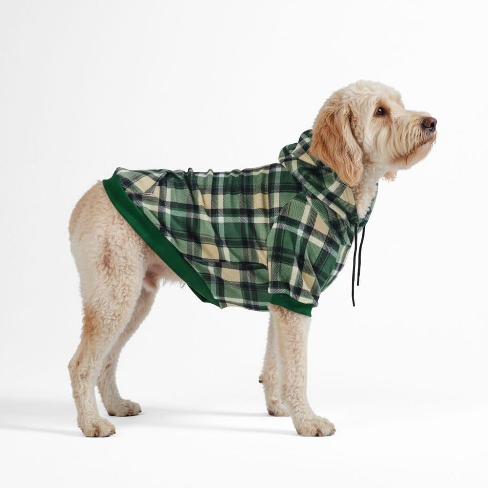 Sudadera Spark Paws para perro verde con cuadros; comodidad para paseos diarios.
