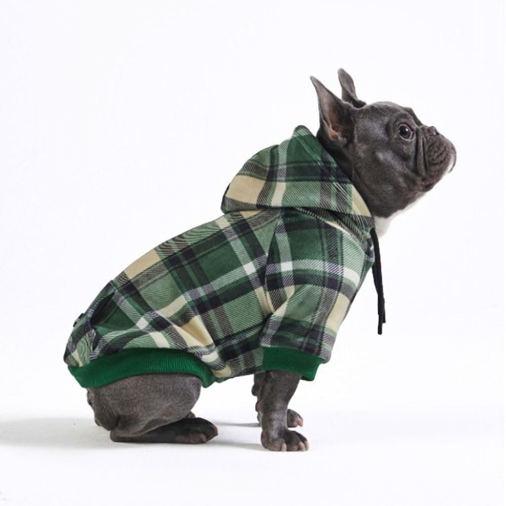 Spark Paws sudadera para perros verde, vista frontal, estilo y comodidad para paseos.
