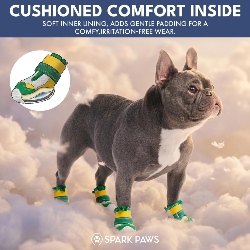 Spark Paws, correas reflectantes, visibilidad nocturna