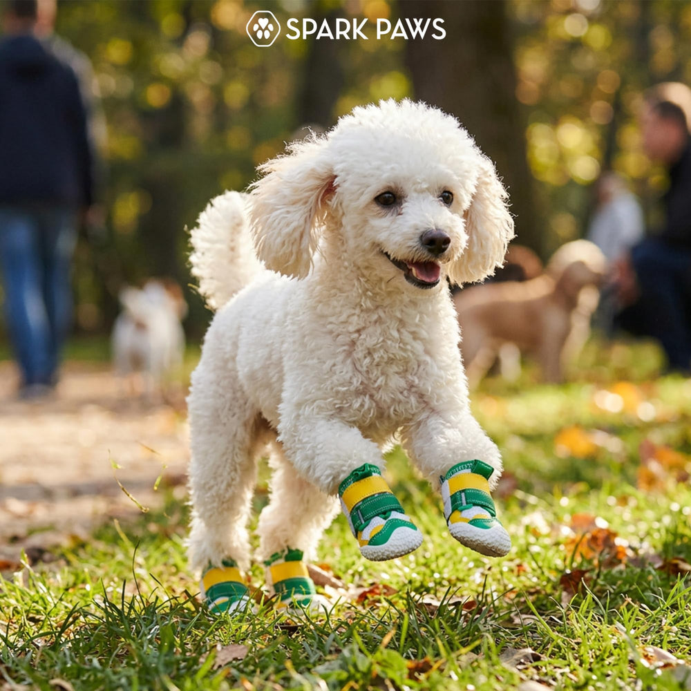 Spark Paws, seguridad en paseos nocturnos