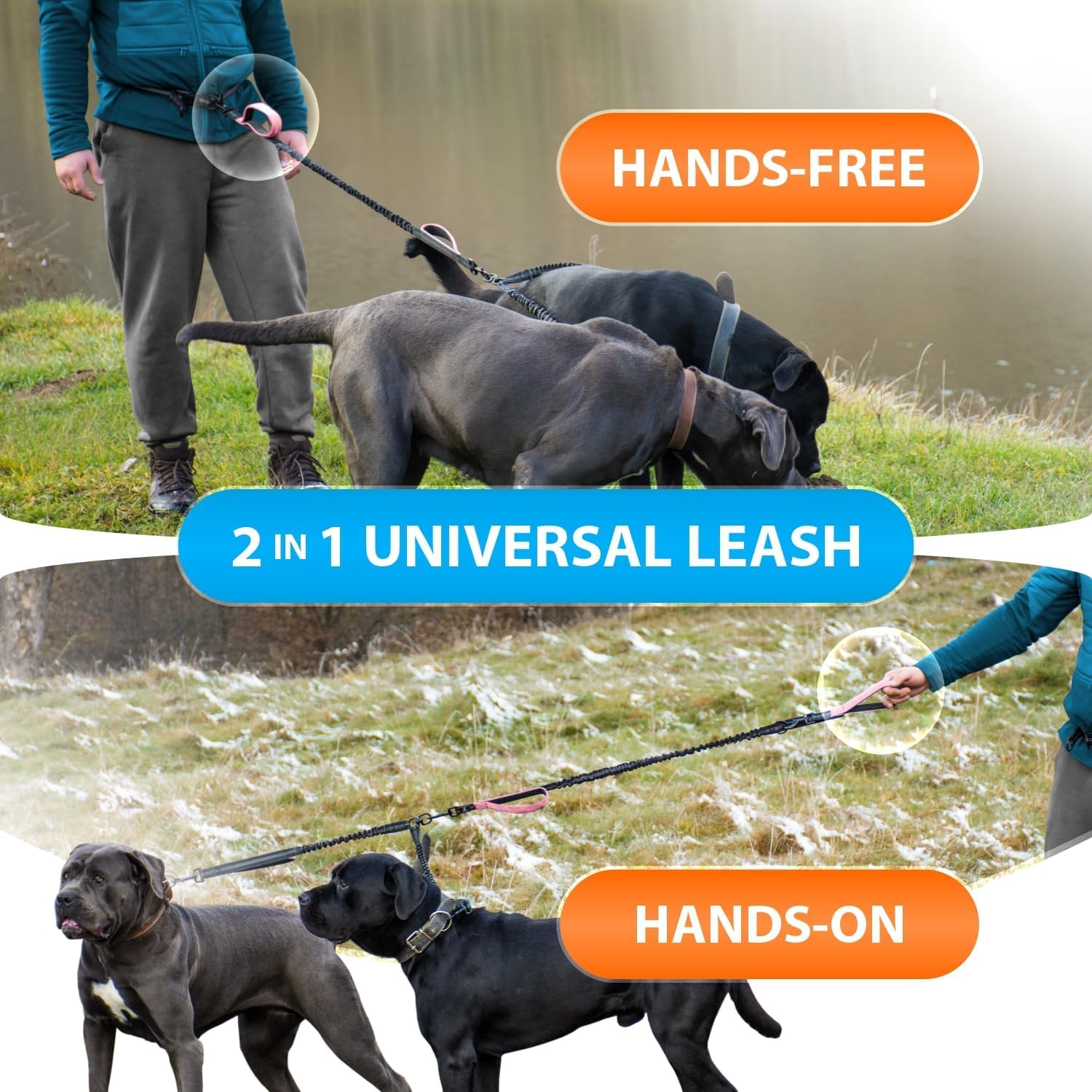 SparklyPets: hebillas de acero inoxidable reforzadas para mayor seguridad.