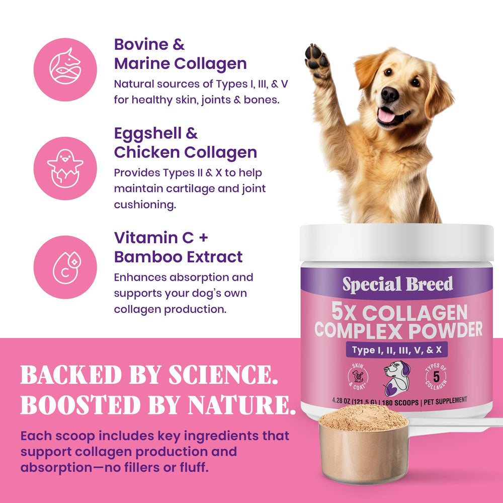 Frasco de Special Breed con 180 scoops para uso diario.
