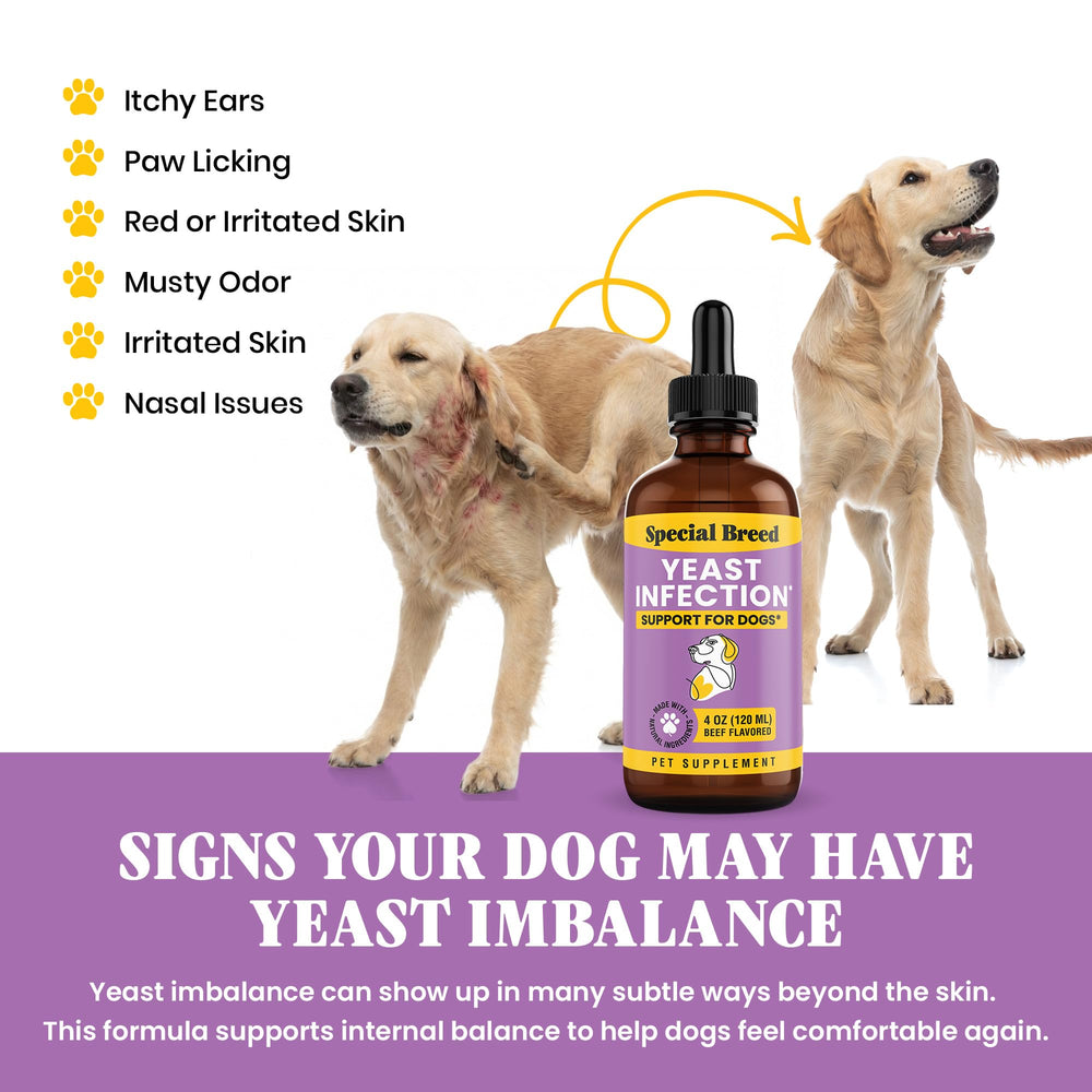 Special Breed: alivio del picor e irritación en la piel de perros.