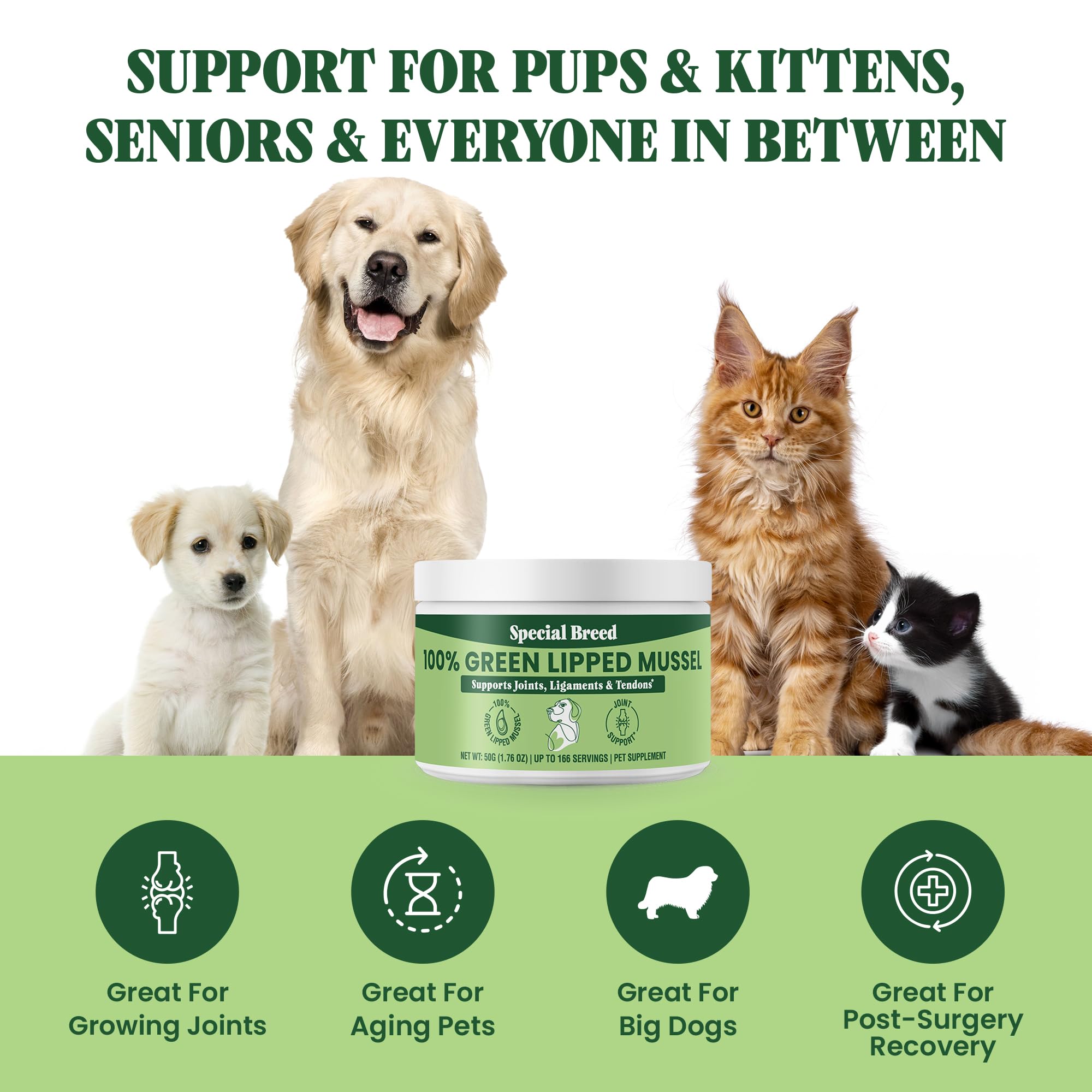 Special Breed polvo para perros y gatos, uso versátil para articulaciones.