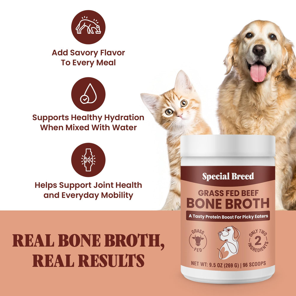 Special Breed Caldo de Hueso en Polvo se mezcla con agua para hidratar
