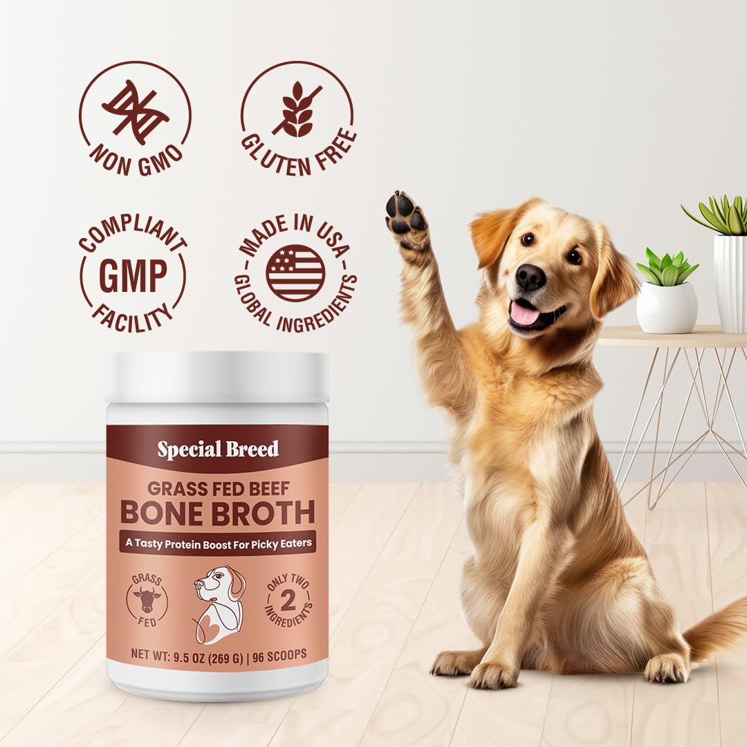 Special Breed Caldo de Hueso en Polvo topper seco o líquido