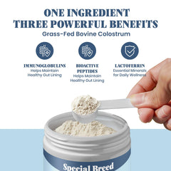 Frasco cerrado de Special Breed Colostro Bovino, preserva pureza y potencia