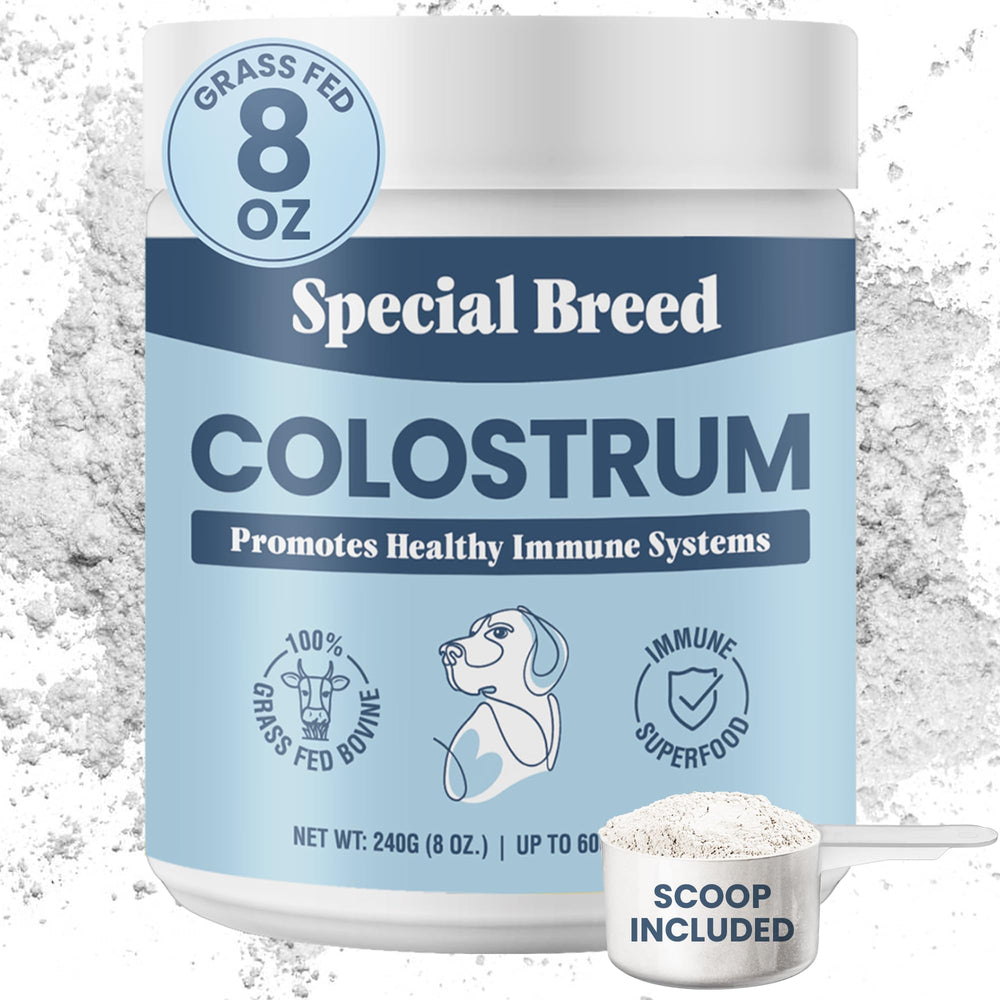 Special Breed Colostro Bovino en polvo para perros y gatos, apoya defensas naturales
