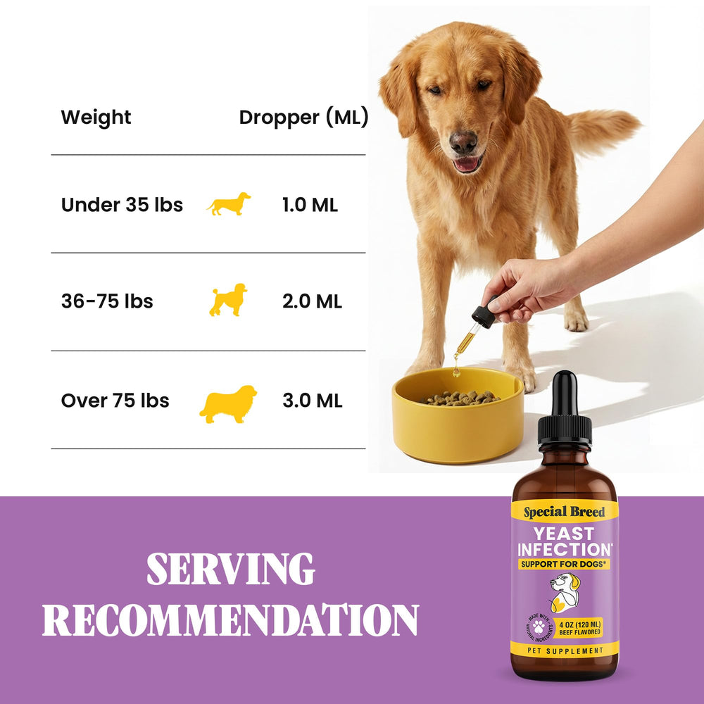 Special Breed: fórmula natural para el bienestar diario de perros.
