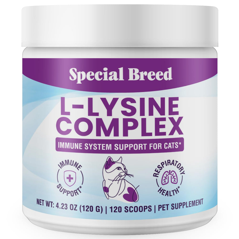 Special Breed Lisina para gatos: frasco, posible apoyo inmunitario.