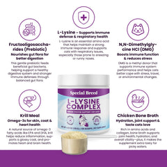 Special Breed Lisina para gatos: ingredientes clave DMG y krill para salud general.