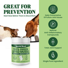 Special Breed mejillón labio verde para gatos, favorece flexibilidad articular.