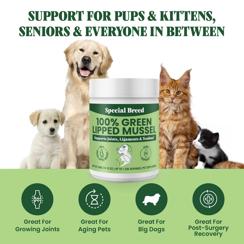 Special Breed origen Nueva Zelanda, mejillón labio verde de alta pureza y calidad.
