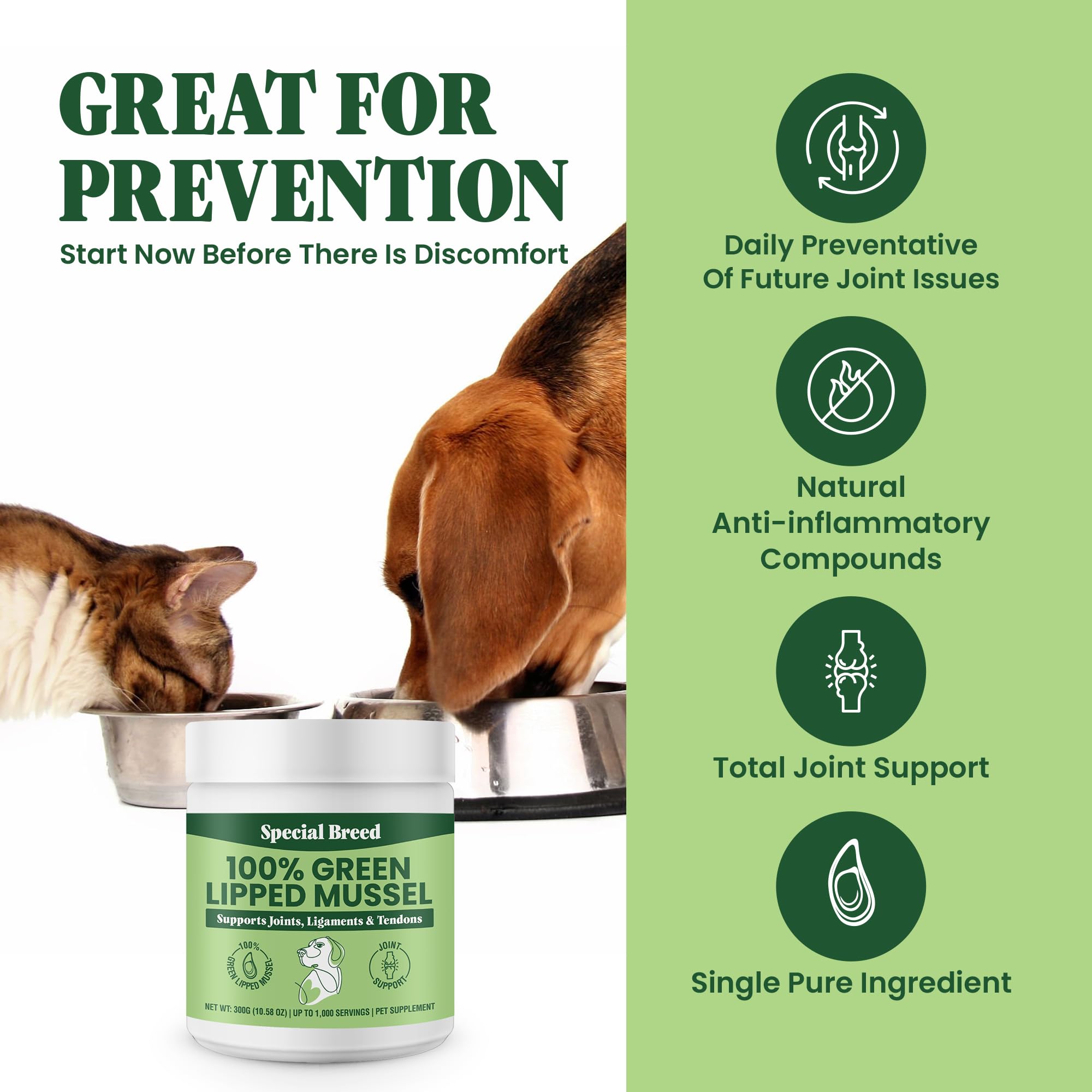 Special Breed envase 300 g de polvo de mejillon verde, conveniente para uso diario.