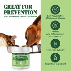 Special Breed envase 300 g de polvo de mejillon verde, conveniente para uso diario.