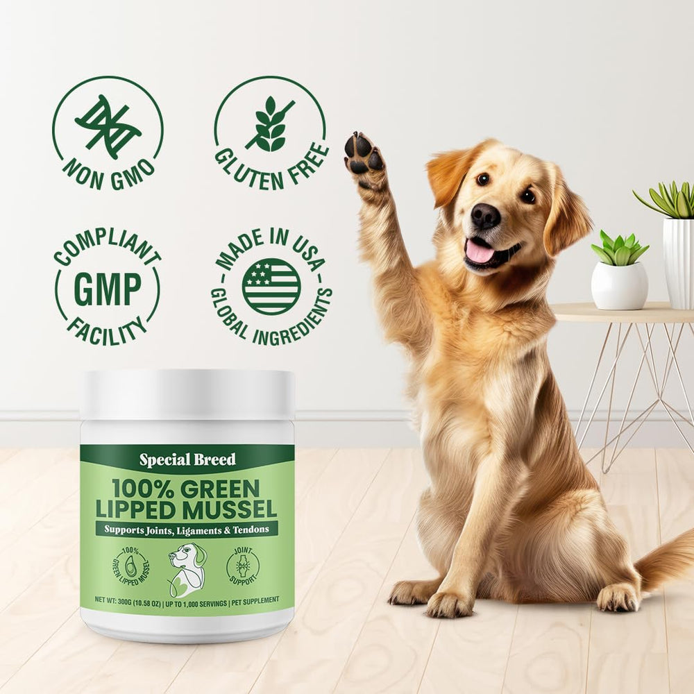 Special Breed polvo de mejillon verde, textura suave y fácil de mezclar.