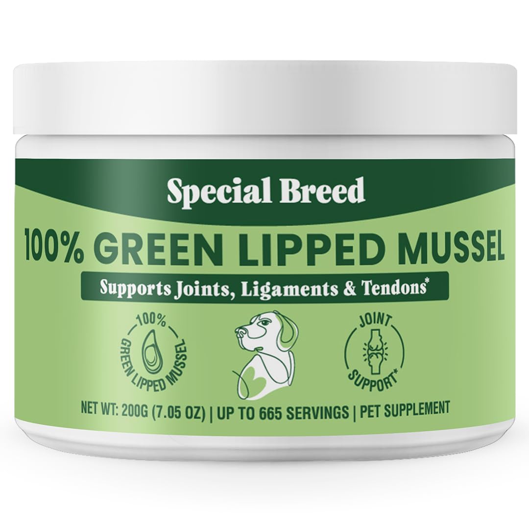 Special Breed polvo mejillon verde bote, apoyando la movilidad de perros y gatos.