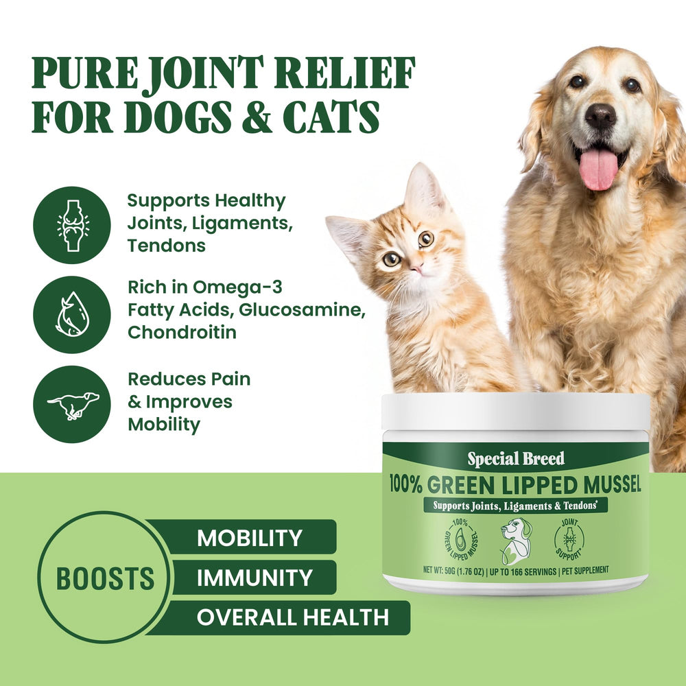 Special Breed polvo de mejillón verde para gatos, mejora la movilidad diaria.