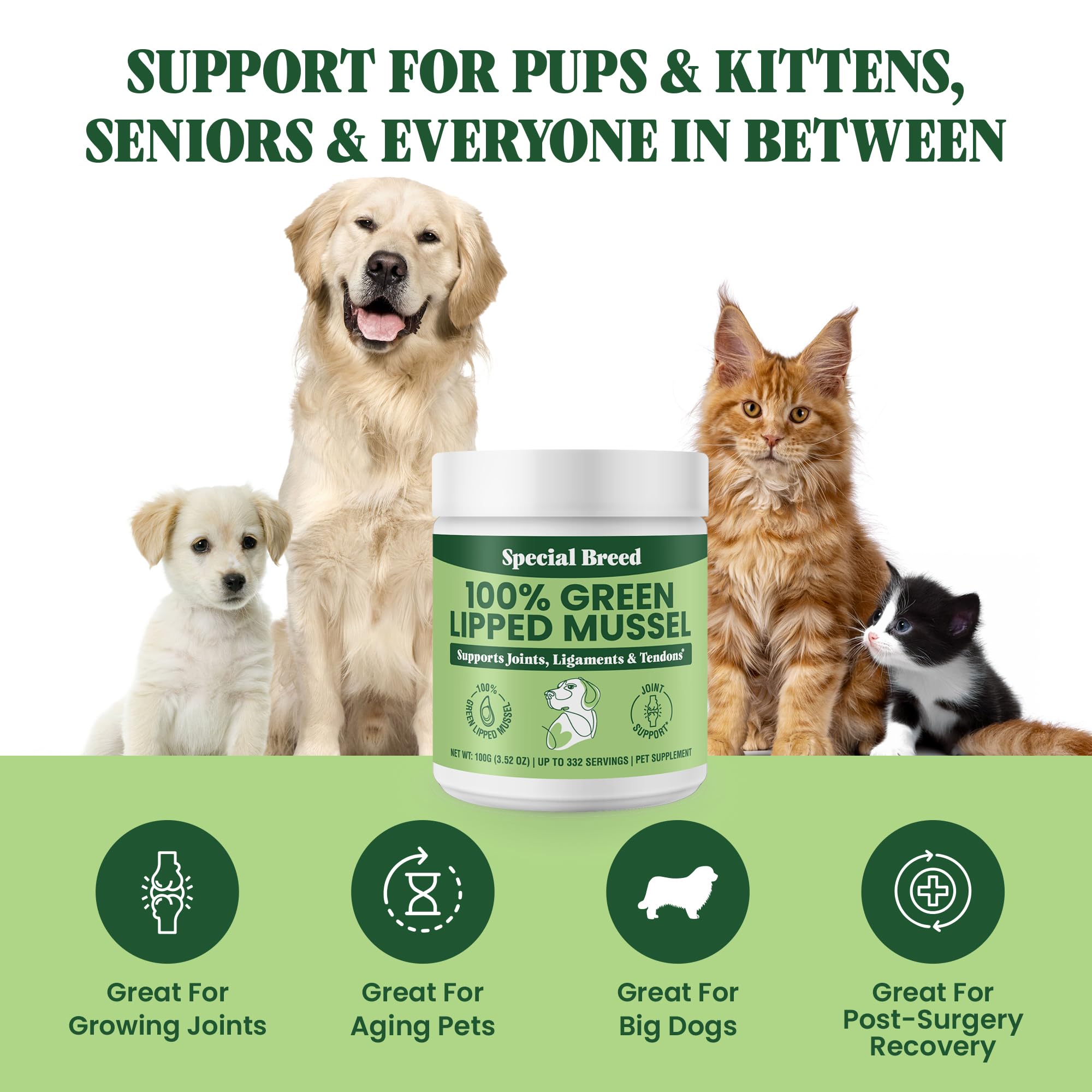 Special Breed polvo se mezcla fácilmente con la comida diaria de perros y gatos.