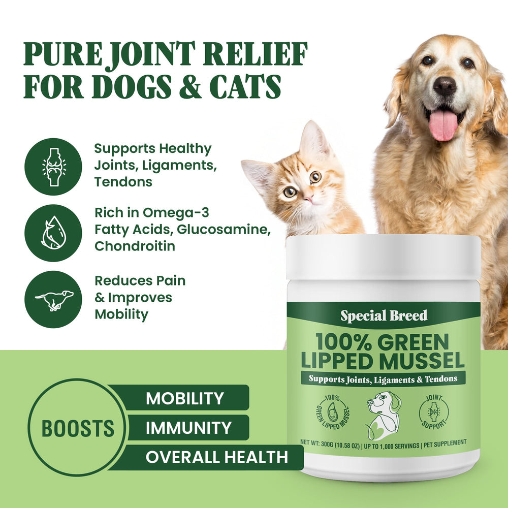 Special Breed polvo mejillon verde para perros y gatos, cuchara medidora para dosificar fácilmente.