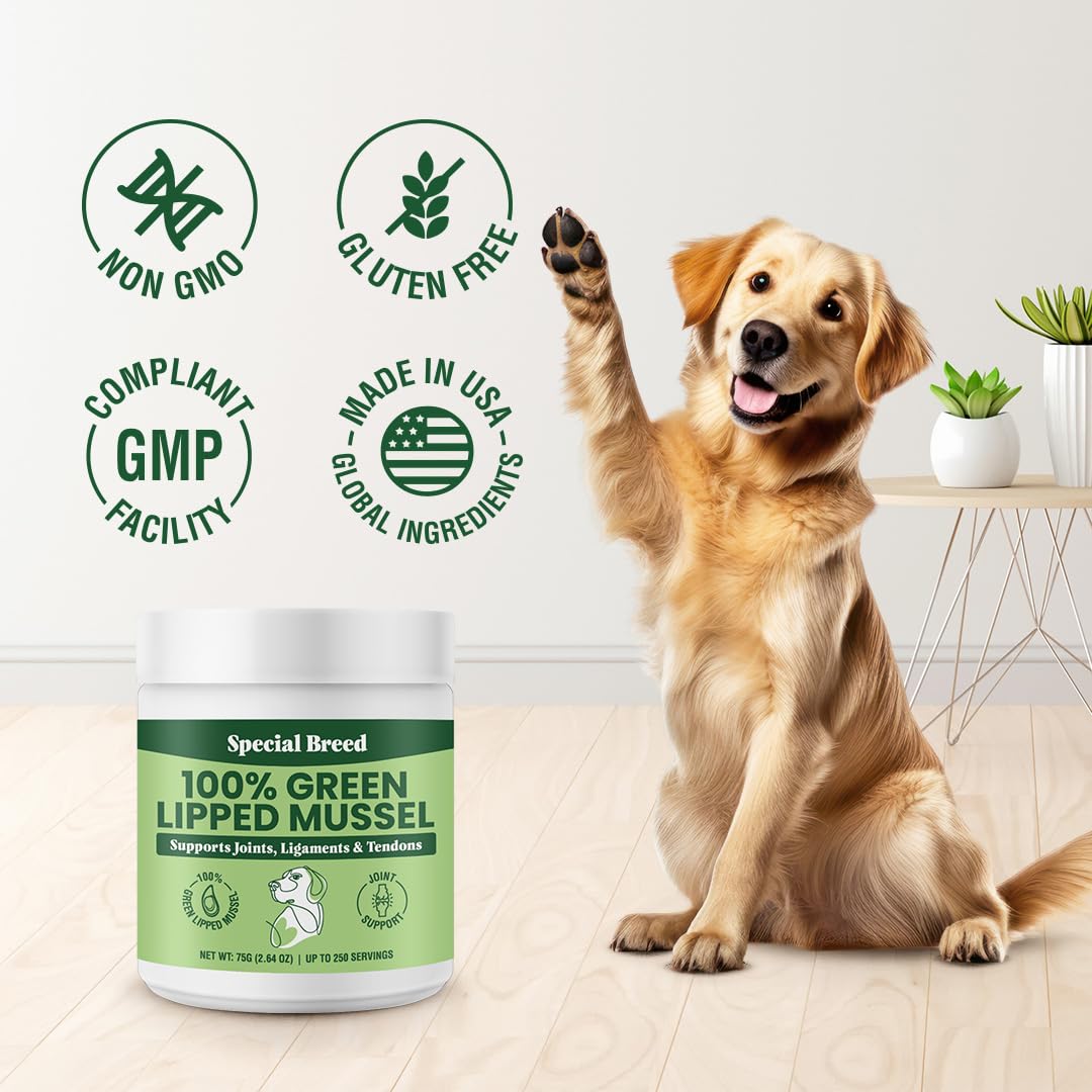 Con Special Breed, mayor actividad diaria para tu mascota.